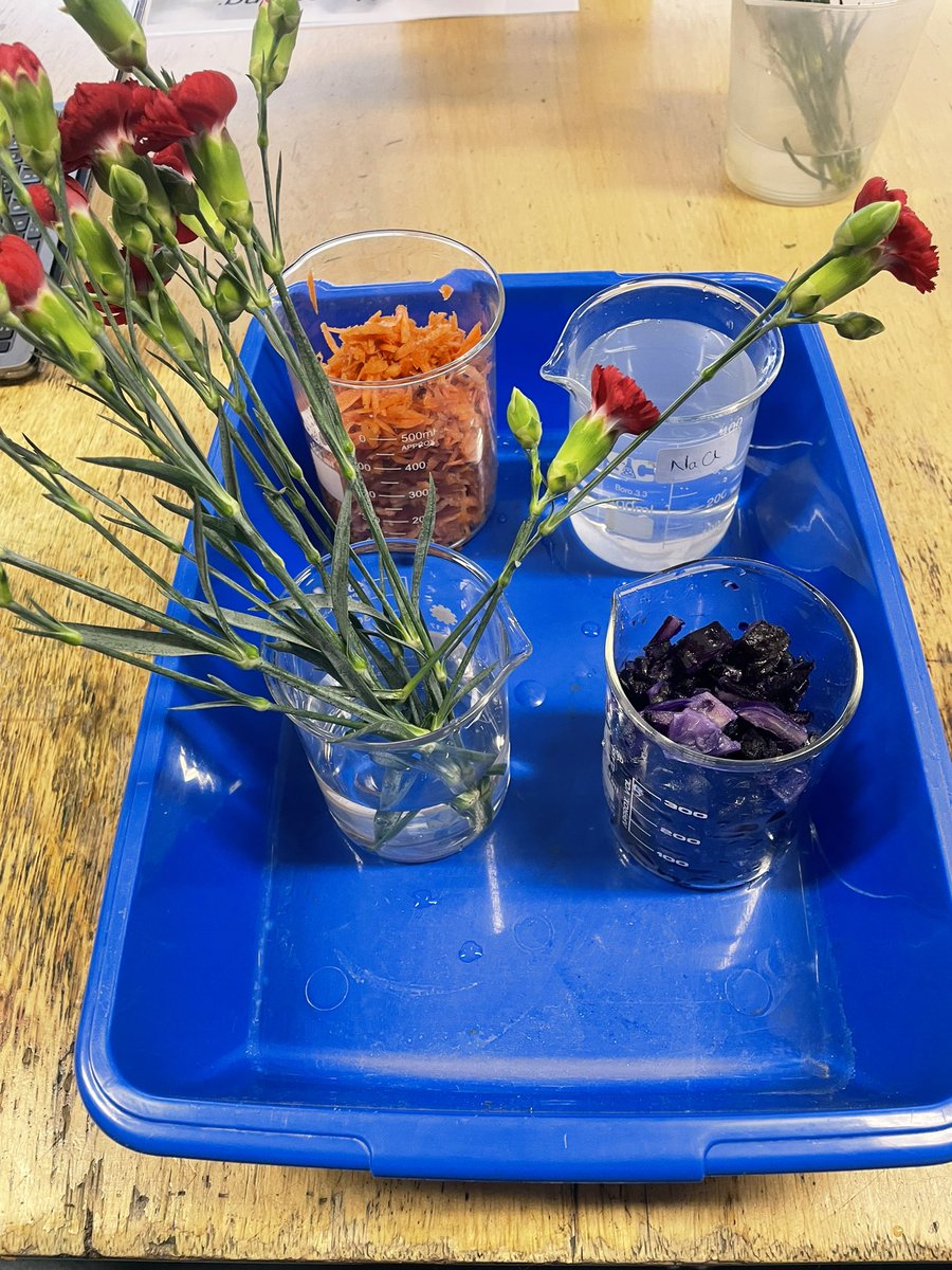 SciTech Em tweet media