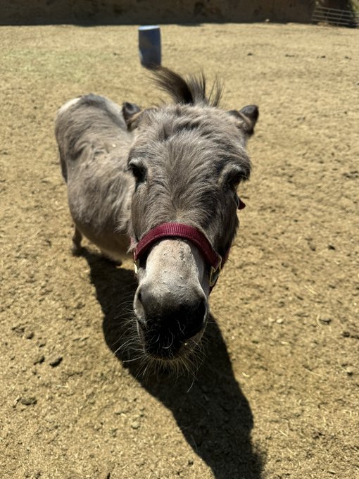 Had the most fun at @SunsetRanchLA https://t.co/u8x30DTTEf<a class="tags" target="_blank" title="On Twitter" href="/?out=eyJ0eXAiOiJKV1QiLCJhbGciOiJIUzUxMiJ9.eyJpYXQiOjE3MTk3ODA2NTIsImlzcyI6InR3cG9ybnN0YXJzLmNvbSIsIm5iZiI6MTcxOTc4MDY1MiwiZXhwIjoxNzUxMzE2NjUyLCJyZWRpcmVjdF91cmwiOiJodHRwczovL3R3aXR0ZXIuY29tL1N1bnNldFJhbmNoTEEifQ.cKE5sZ1m6e9DPwy8g3NqH_JiY9oe9E_1FDunGhhaZ6xpUlvBVVEPfunG52fhZjTYrhBHKY19A-azGeLkNbsR8g">@SunsetRanchLA</a><a href="/tag/tesla"class="tags"><span>#tesla</span></a><a href="/tag/cybertruck"class="tags"><span>#cybertruck</span></a><a href="/tag/foundationseries"class="tags"><span>#foundationseries</span></a>