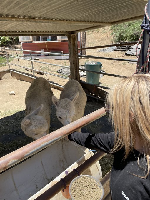 Had the most fun at @SunsetRanchLA https://t.co/u8x30DTTEf<a class="tags" target="_blank" title="On Twitter" href="/?out=eyJ0eXAiOiJKV1QiLCJhbGciOiJIUzUxMiJ9.eyJpYXQiOjE3MTk3ODA2NTIsImlzcyI6InR3cG9ybnN0YXJzLmNvbSIsIm5iZiI6MTcxOTc4MDY1MiwiZXhwIjoxNzUxMzE2NjUyLCJyZWRpcmVjdF91cmwiOiJodHRwczovL3R3aXR0ZXIuY29tL1N1bnNldFJhbmNoTEEifQ.cKE5sZ1m6e9DPwy8g3NqH_JiY9oe9E_1FDunGhhaZ6xpUlvBVVEPfunG52fhZjTYrhBHKY19A-azGeLkNbsR8g">@SunsetRanchLA</a><a href="/tag/tesla"class="tags"><span>#tesla</span></a><a href="/tag/cybertruck"class="tags"><span>#cybertruck</span></a><a href="/tag/foundationseries"class="tags"><span>#foundationseries</span></a>