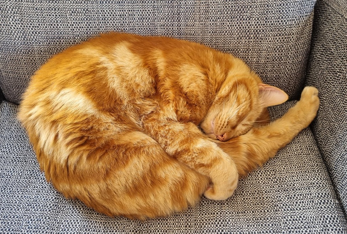 CallMalcolm's tweet photo. Today I is prawn! https://t.co/4gfsW3Irhq