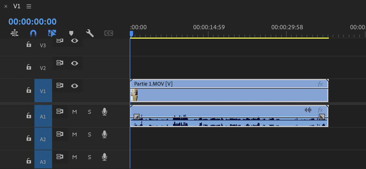 Debo_Reseaux's tweet photo. {HELP} Je sais pas si c'est la dernière MAJ de Premiere pro ou moi qui ai fait une fausse manip, mais à chaque fois que je démarre un nouveau projet, mes lignes de séquences ont cette taille par défaut...

J'aimerai retrouver des lignes simples, quelqu'un aurait une solution? 🙏 https://t.co/tJiBaSb0UF