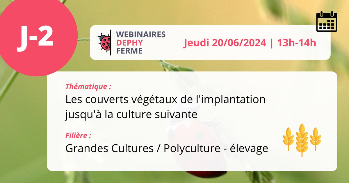 J-2 [WEBINAIRE DEPHY FERME] 🐞
Les couverts végétaux de l'implantation jusqu'à la culture suivante | GCPE 🌾

📅 Jeudi 20 juin | 13h-14h

👉 [INSCRIPTION] cutt.ly/qw6ZR6dq

#webinaire #DEPHY #DEPHYFERME #WDF #phyto #GCPE #couvertsvegetaux