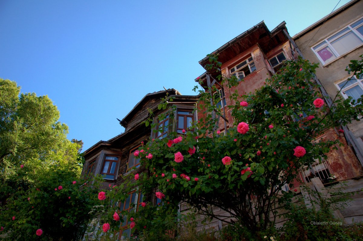 “Bizim pencereler yele karşıdır 
  Muhabbet dediğin karşı karşıdır”