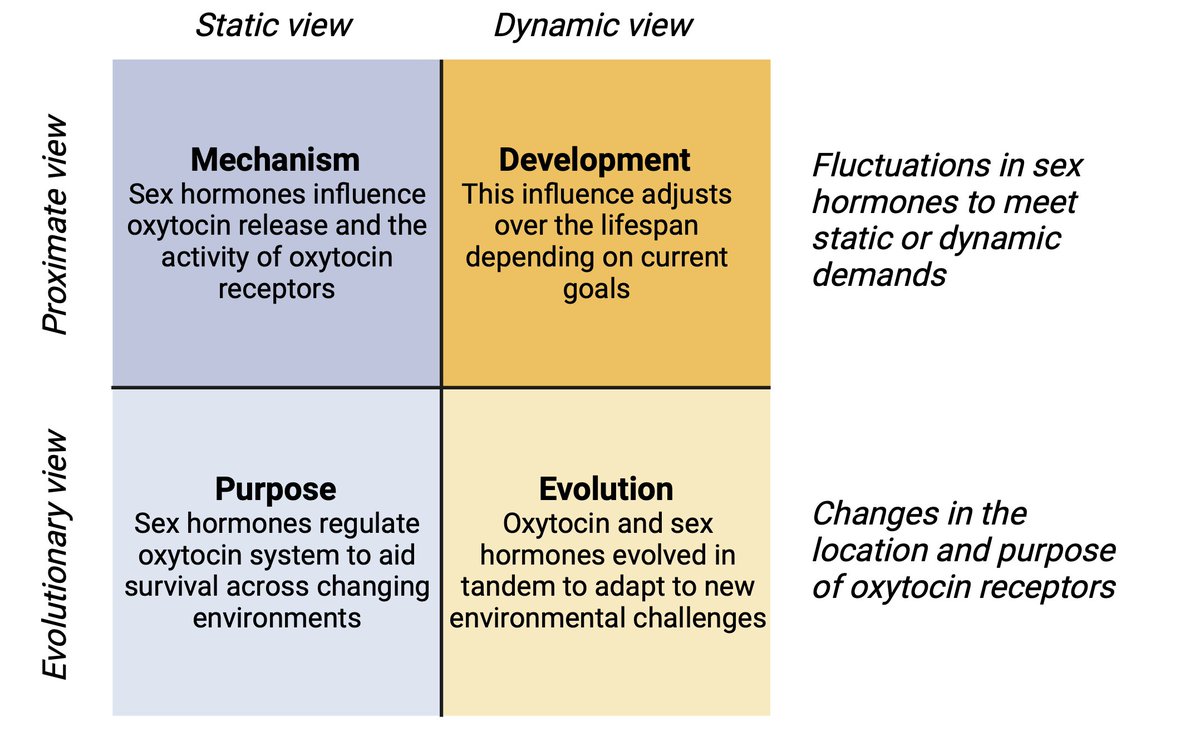 Our new paper on the interplay of oxytocin &amp; sex hormones is now published in Neuroscience &amp; Biobehavioral Reviews 🎉 doi.org/10.1016/j.neub… 

We used evolutionary, developmental, mechanistic &amp; survival perspectives to unravel how sex hormones facilitate oxytocin's diverse roles