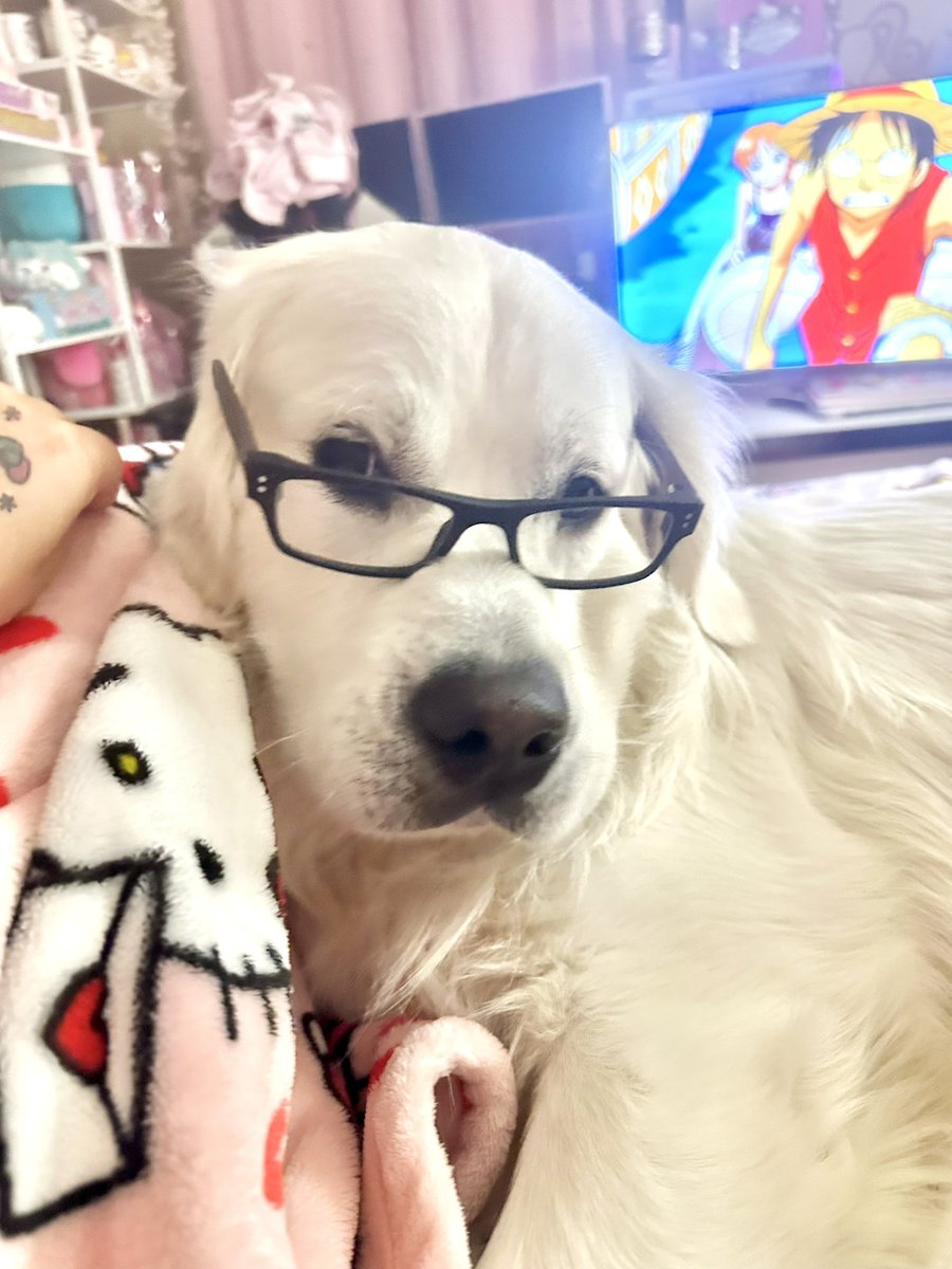 Content from lovablejessica