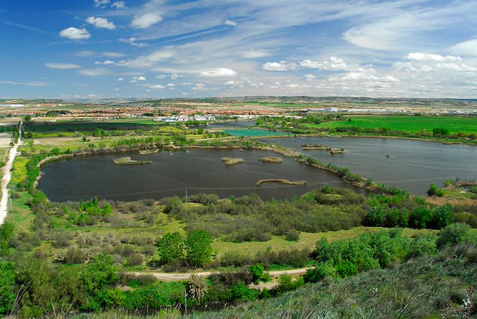 Foto cedida por Ayuntamiento de Rivas