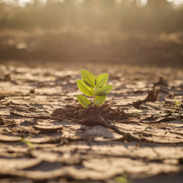 ReteAmbiente's tweet photo. Via libera definitivo al regolamento UE sul ripristino della natura, gli impegni e gli obblighi degli Stati ➡️ https://t.co/7DmL7iTxO8 https://t.co/4v9iSsJHwp