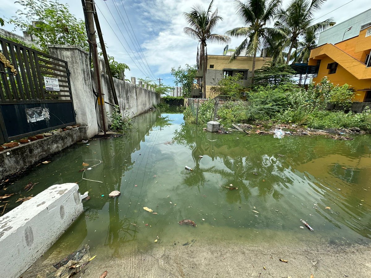 David Manohar tweet media