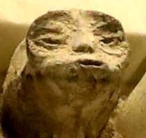 _AimlessFish's tweet image. I'm just here, late at night, filling out and submitting applications for government funding so we can get a little boost over a technological and financial hump.