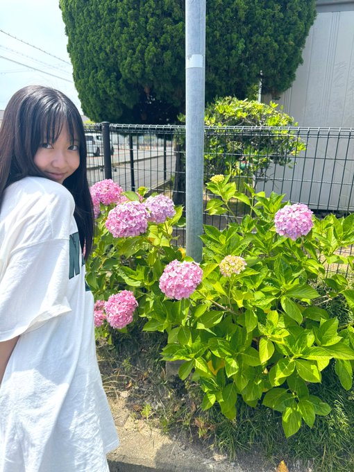 八束さくらのTwitter画像13