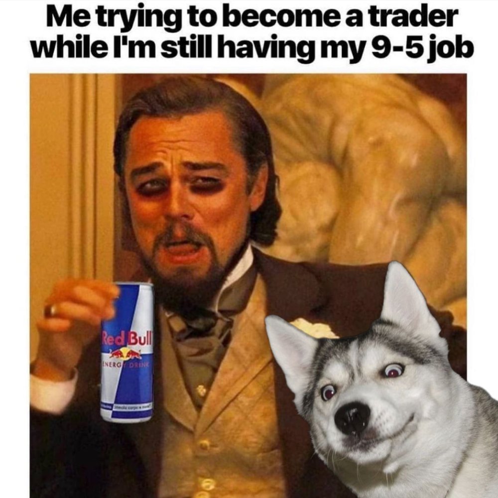 HuskyAlbert's tweet photo. Switching between Excel and trading charts so fast, you might be a ninja. 😂💹

$ALBERT #solana #solanamemcoin https://t.co/Vy0F6MCYNy