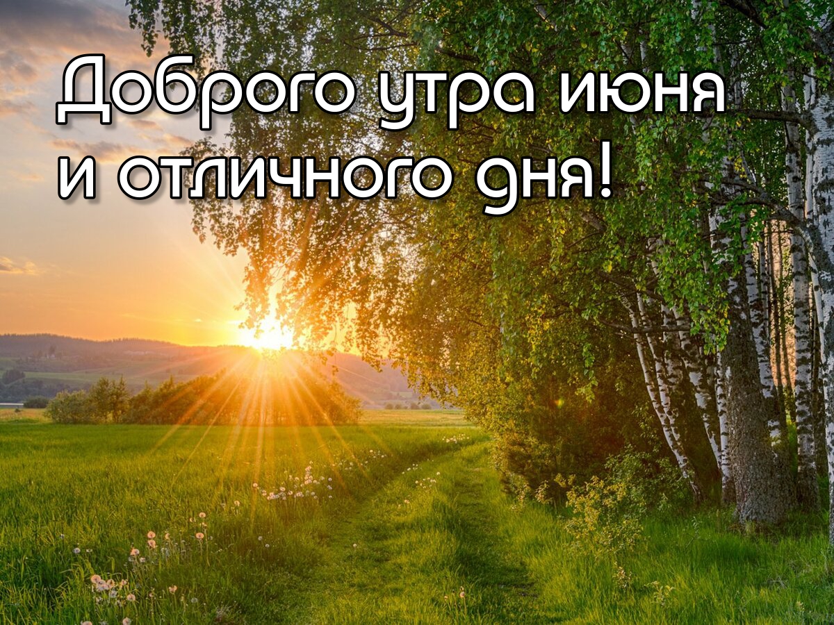 liudmila tweet media