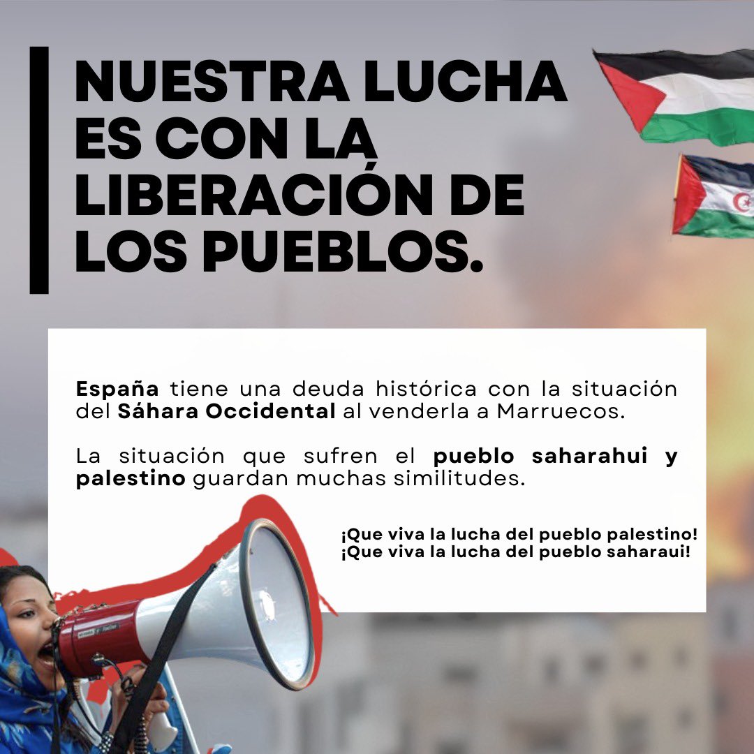 Estudiantes UPO X Palestina 🇵🇸 tweet media