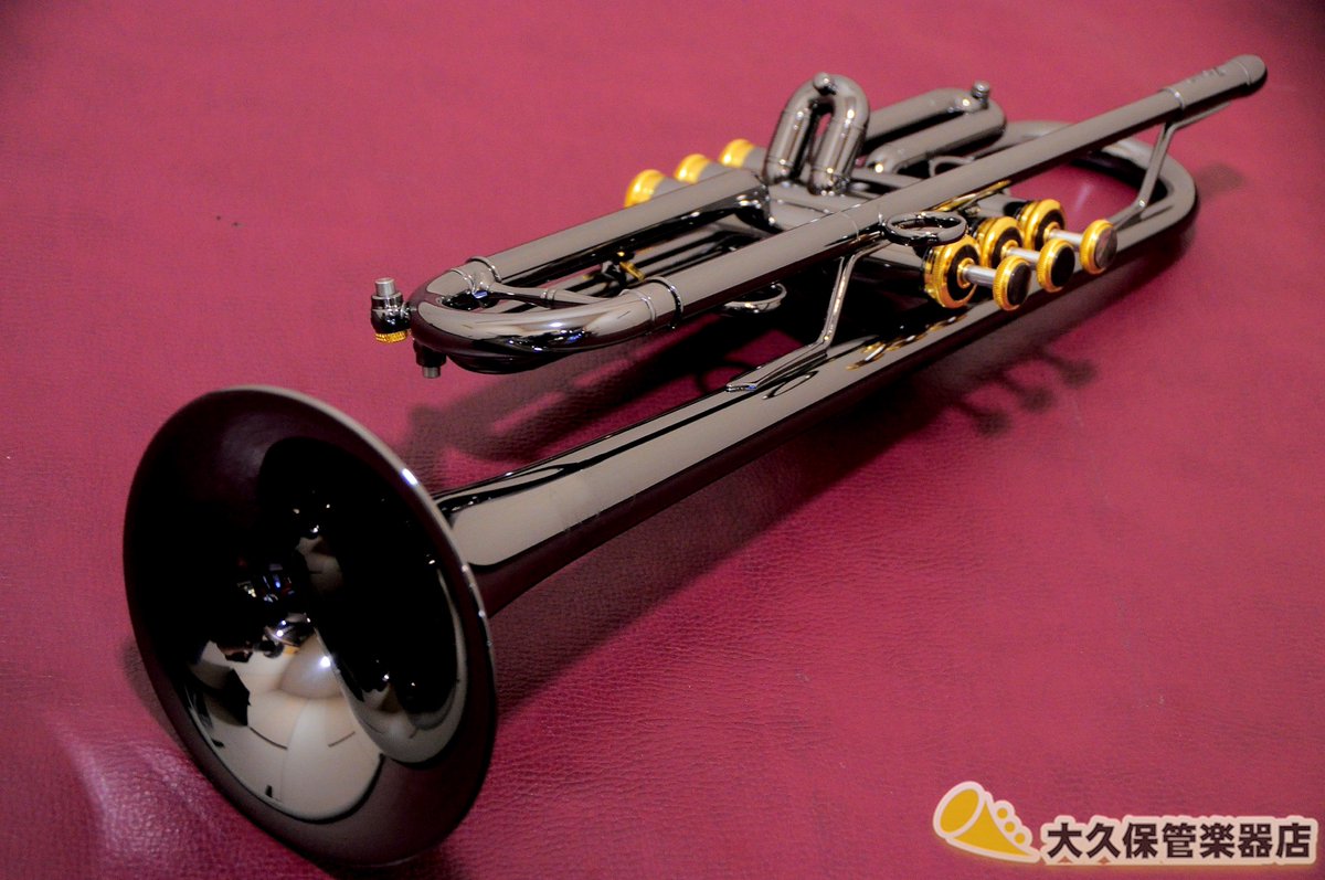 鈍色(にびいろ)に輝くBODYに釘付け🩷 コストパフォーマンス◎の高品位