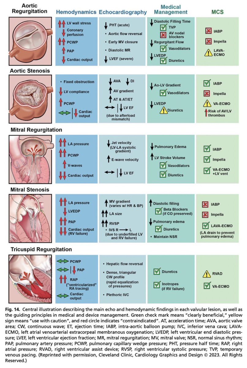 idsawyerr's tweet image. Heart valve diseases ( Valvular Heart Diseases)