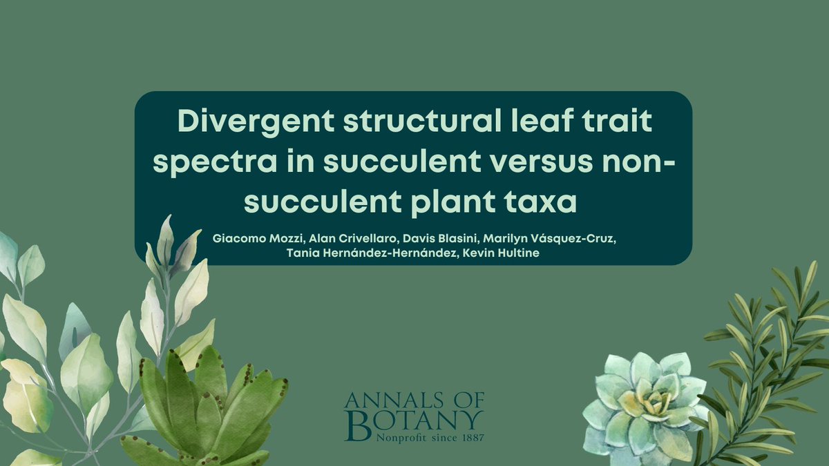 Annals of Botany (@annbot) on Twitter photo 🎉Good news! The new paper ‘Divergent structural leaf trait spectra in succulent versus non-succulent plant taxa’ in <a href="/annbot/">Annals of Botany</a> by Giacomo Mozzi and co-authors is now #free for a limited time. (1/8)
👉 botany.fyi/n8876m
#AoBpapers #PlantScience 🎉Good news! The new paper ‘Divergent structural leaf trait spectra in succulent versus non-succulent plant taxa’ in <a href="/annbot/">Annals of Botany</a> by Giacomo Mozzi and co-authors is now #free for a limited time. (1/8)
👉 botany.fyi/n8876m
#AoBpapers #PlantScience