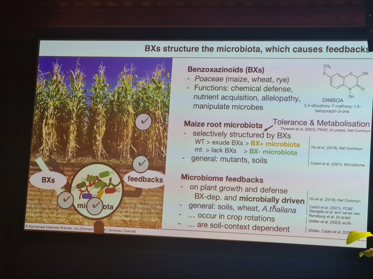 Nene_Narh tweet media