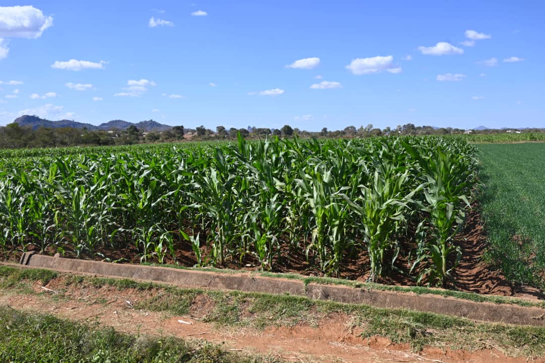 #10thParliament
In furtherance of their oversight responsibilities, the Parliamentary Portfolio Committee on Lands, Agriculture, Water, and Fisheries (Team A) conducted a site visit to the Biri Extension Irrigation Scheme in Mberengwa District, Midlands Province, this afternoon.