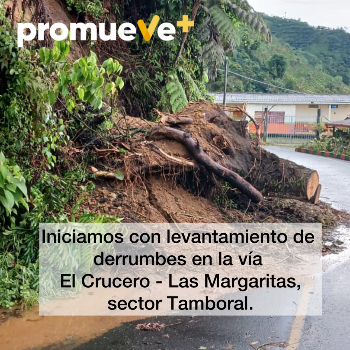 Promueve_mas (@maspromueve) on Twitter photo 