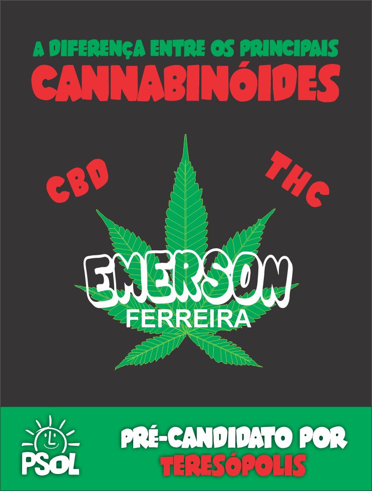Emerson4br 🚩🧧❤️ tweet media