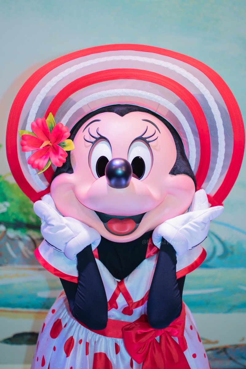 アップで撮りたいな〜って言ったら、どんどん近づいてきてとってもおちゃめで可愛かった🥰🫶🏻