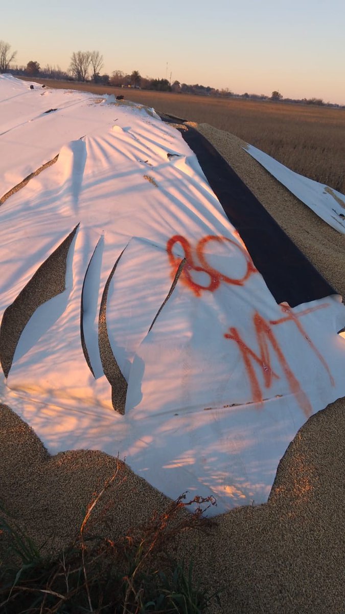 El jueves por la noche nos rompieron un bolsón con cebada para semilla en un campo pegado al pueblo de Henderson. Si alguien vio algo se agradece la información. <a href="/aruralhenderson/">AsocRural Henderson</a>