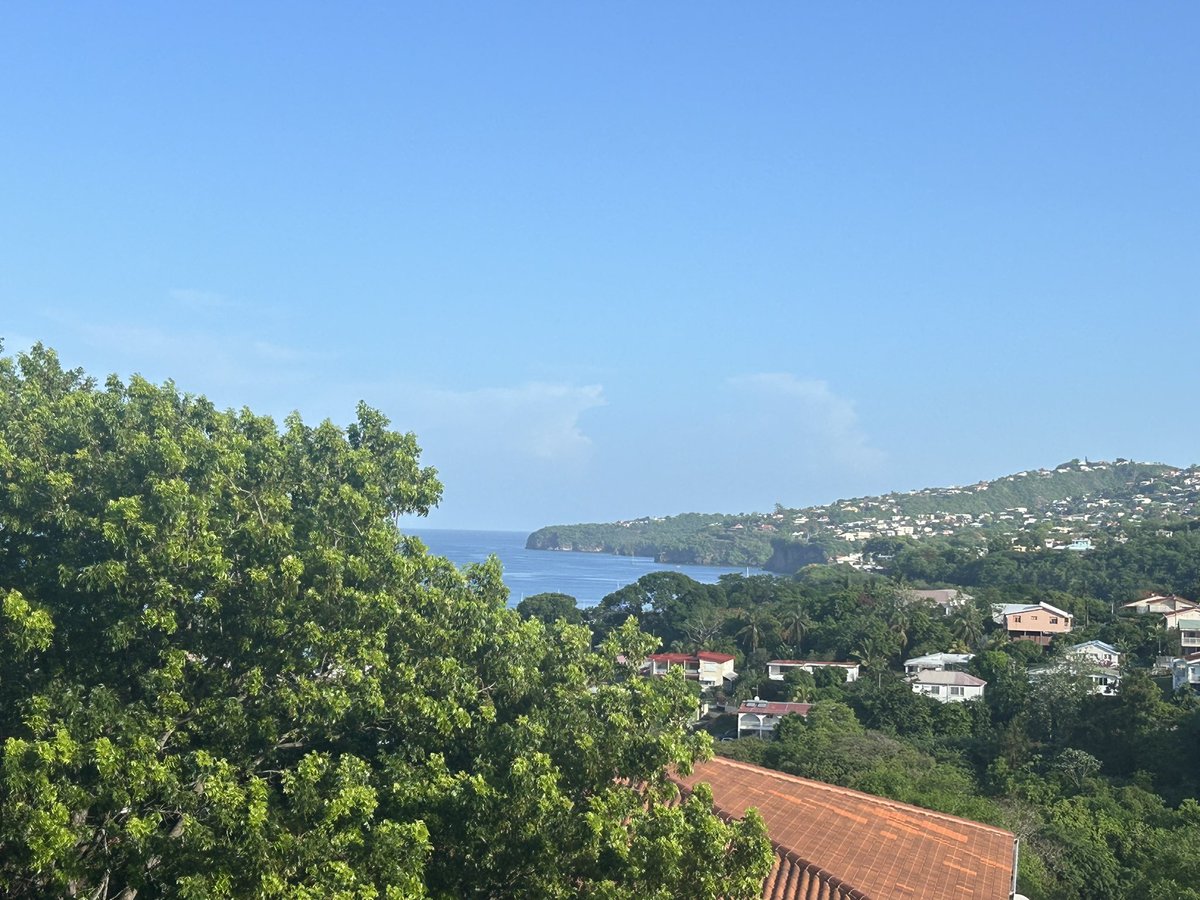 TheLuckyFox_'s tweet photo. Gm fam ! ๐๐Wish yโall an epic Tuesday !
$WELSH love from my island #Martinique
Flying back home in few hours โ๏ธ๐ข
Donโt forget todayโs round of #100DaysGiveway ๐คฉ๐ฅ๐ฅ๐ฅ๐พ @SirLatimer1 @Stacksybtc
#WorldWideWelsh ๐ #corgi #memecoin
#Bitcoin @Stacks https://t.co/o46J6H7DH2