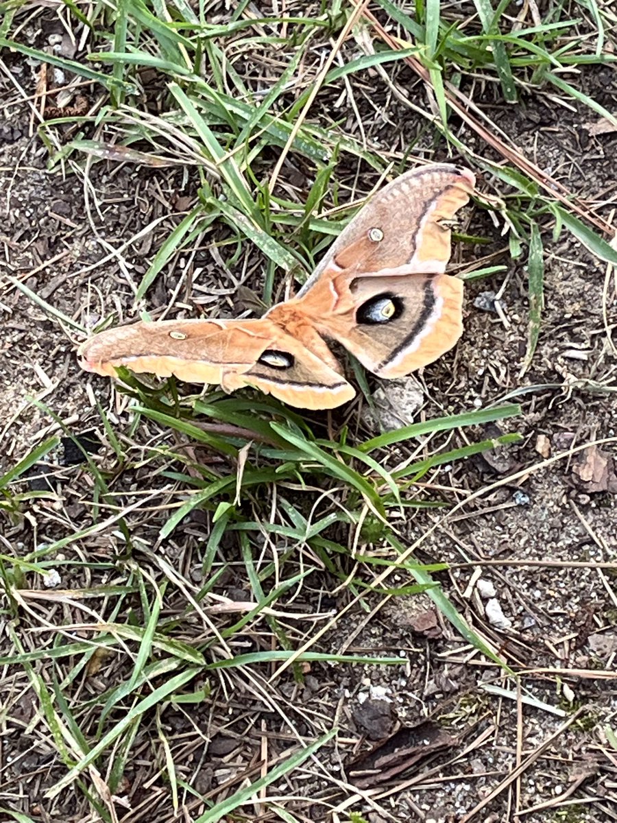 Morning discovery!