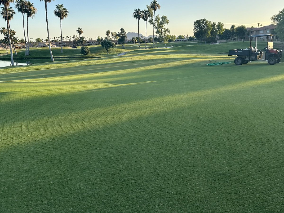Bermuda grass is responding well to our aggressive cultural practices from last week. Establishing quality cuts again 🤝