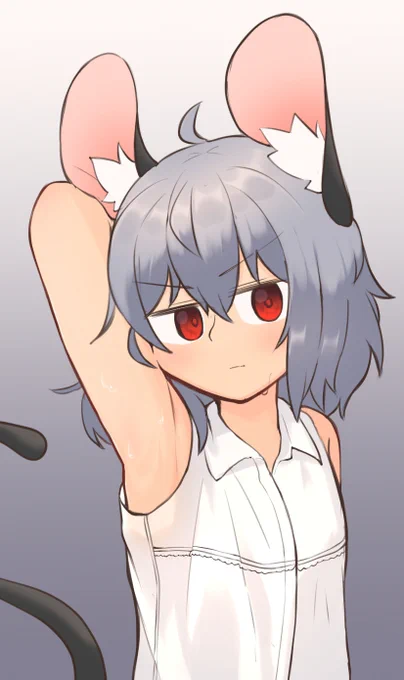 え!?!?!?今日は火曜日だからナズーリンの柔軟性をチェックすると同時に脇を見てもいいのか!?!??!?!?!?! 