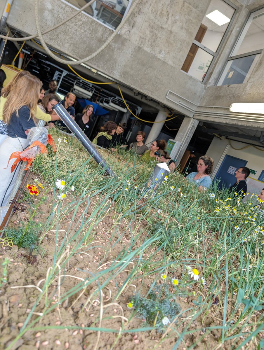 Enseignants missionnés en culture scientifique dans l'académie : journée riche, temps d'échange et construction des perspectives ! 
Merci à nos partenaires <a href="/MPLS_CVL/">Maison pr la science</a> <a href="/_CentreSciences/">Centre•Sciences</a> pour leur présence et à <a href="/INRAE_VDL/">INRAE Val de Loire</a> pour leur accueil.