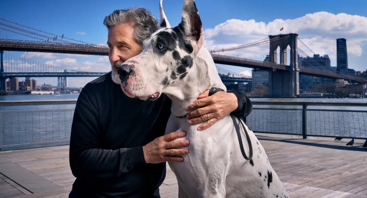 HumaneSocietyNY's tweet image. Check out the write-up in The New Yorker by Nick Paumgarten, featuring HSNY’s incredible Director of Animal Behavior and Training, Bill Berloni! From pigs to Great Danes, delve into his work &amp;amp; the bond between humans &amp;amp; animals!

Link to read: bit.ly/4bKMxEZ

#dogtrainer