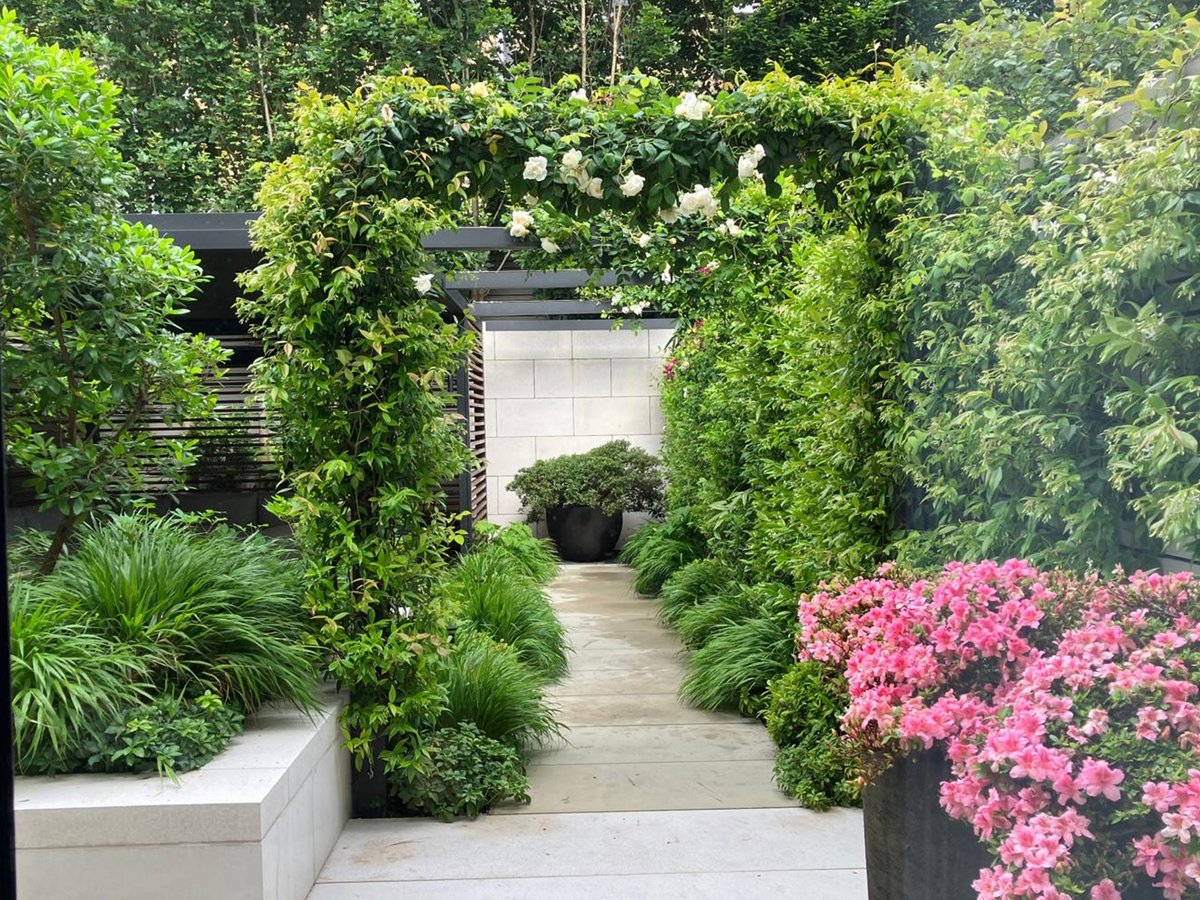Three years on from installation and this garden has truly blossomed into a lush and green paradise. The planting has developed beautifully, creating a stunning oasis for the homeowners to enjoy. Nature at its finest!

#GardenTransformation #londongardendesign #urbangardens