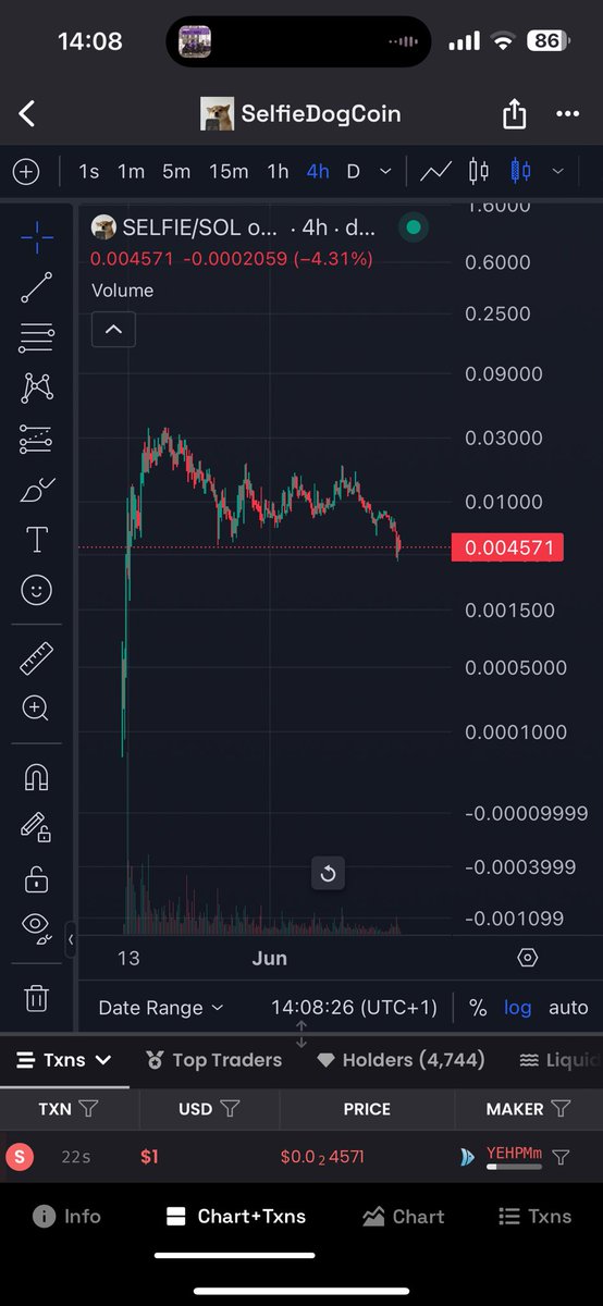 $SELFIE is a very good bid here imo. Community still vibing and raiding hard. Once market turns around, this dog will melt faces 🤝🥷