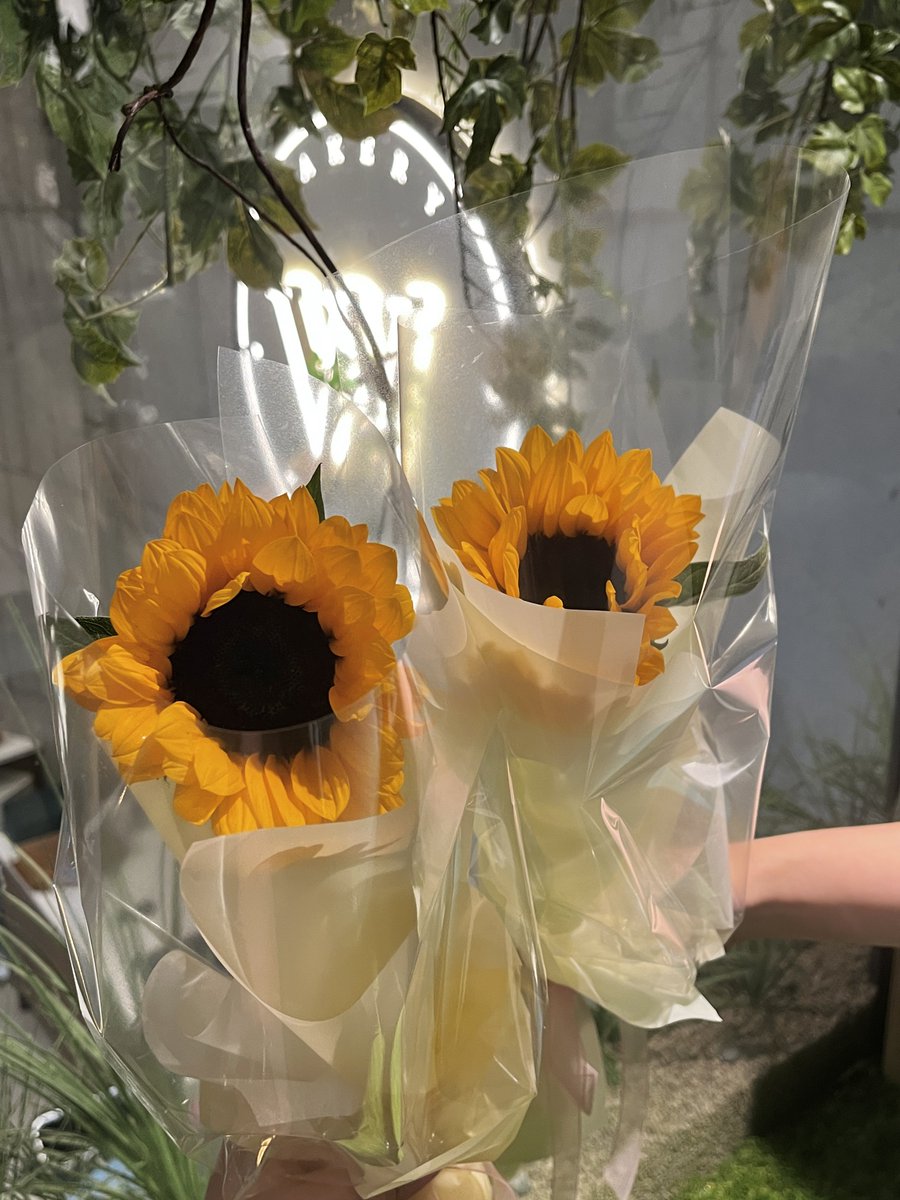 mxmarrie's tweet photo. 240618
셔누랑 너무너무 잘 어울리는 해바라기🌻
정성과 사랑이 한가득이라 나까지 기분이 좋아지는 곳이었다✨ 생일 축하해 누누야!

제 인생 첫 액자에요 희희
소중히 간직할께요!(՞ ܸ.ˬ.ܸ՞)”♡

#SUNKISSEDBOY_SHOWNU
#꽃처럼_피어나는_셔누의_여름 https://t.co/y038UOTQ0i