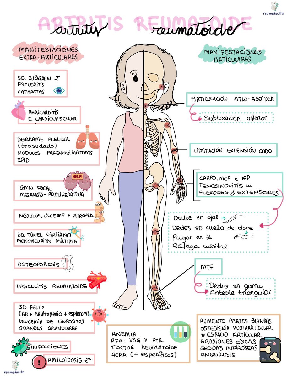 Cristina Macía tweet media
