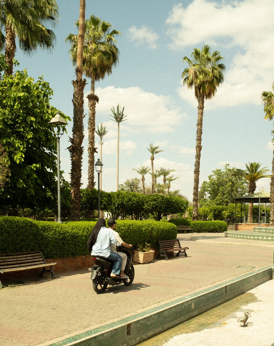 Wilishkar tweet media