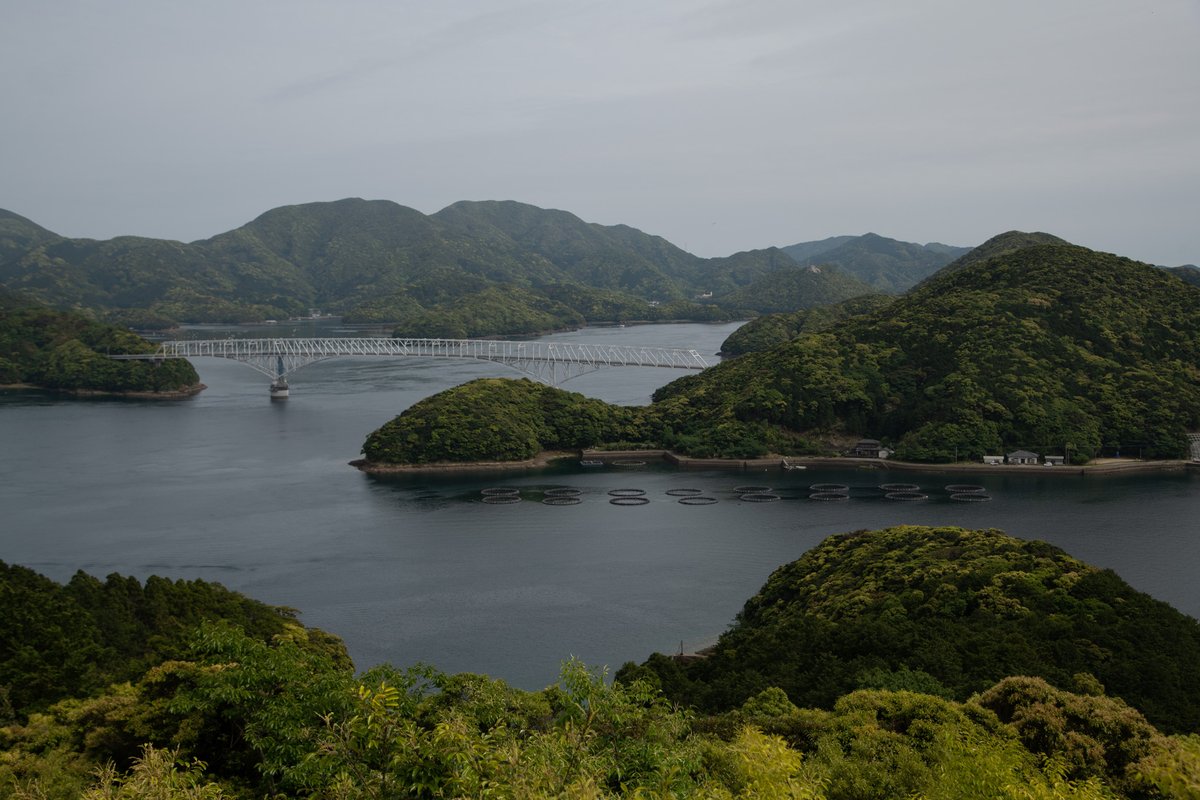 Narakotsu26's tweet photo. さてお昼に八大うどんを探せでも有名な五島うどんをいただき，青砂ヶ浦教会へと向かいつつ若松大橋を抜けて若松島へ．この島には観光客が話しかけてはいけないｶﾞｿﾘﾝｽﾀﾝﾄﾞがあるという噂を耳にしましたが真相やいかに…？ https://t.co/ZjykK4Gk9y
