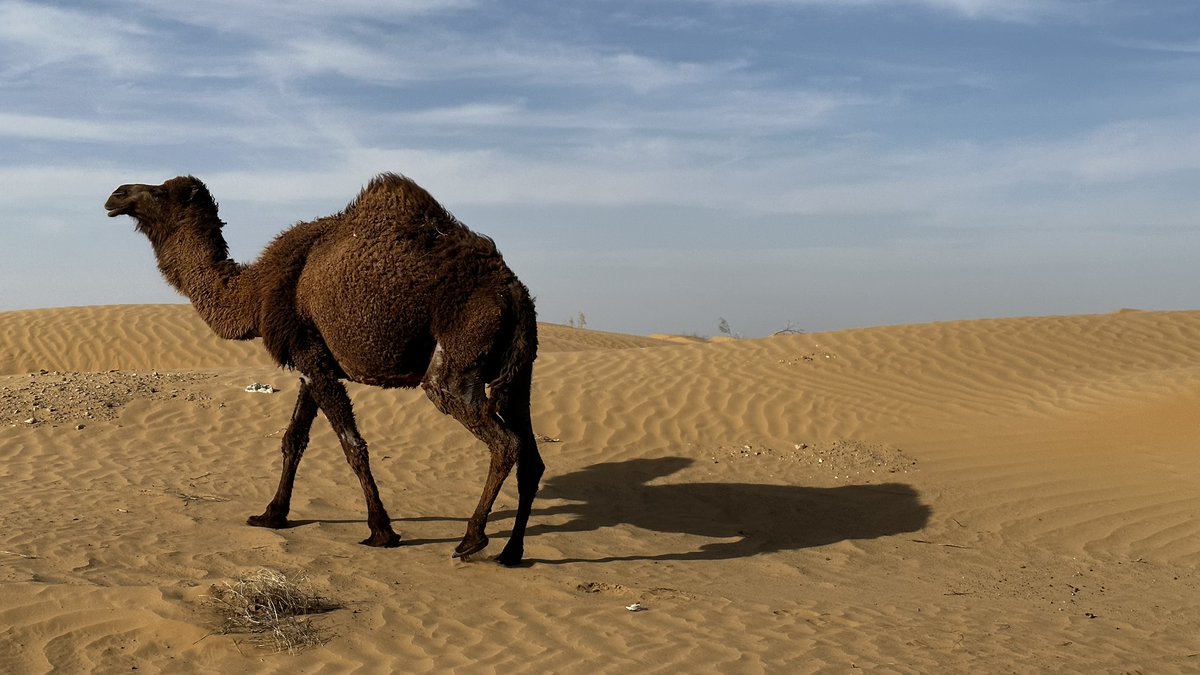 67th meeting of <a href="/theGEF/">Global Environment Facility (GEF)</a> Council resumes with discussion on Relations with Conventions &amp; Other International Institutions and first presentation by <a href="/UNCCD/">UN Land and Drought</a> <a href="/ibrahimthiaw/">Ibrahim Thiaw</a>   #GEFCouncil67