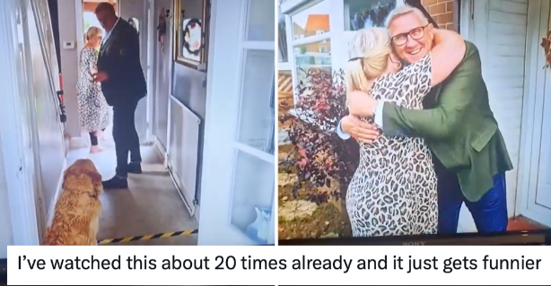 #recap The hilarious comic timing of this ‘dog behaving badly’ is sheer perfection (wait for it!)

thepoke.com/2024/04/03/the…