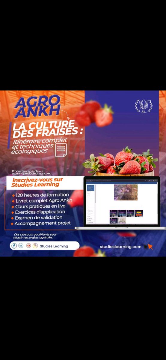 StudiesCm's tweet image. 120 heures de formation ouverte toute l'année pour vous qualifier dans l'agriculture des fraises et entamer votre prochain projet agricole.

studieslearning.com/produit/itiner…

La terre ne ment pas, Studies Learning ne trompe pas.

#studieslearning
#elearningAfrica
#agricultureenligne