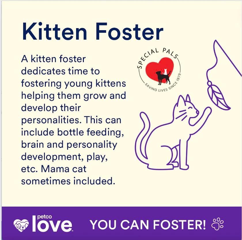 Special Pals (@specialpals) on Twitter photo Have you heard? Kitten season — the time when oodles of tiny faces arrive at our doorstep — has arrived. Join us to save these tiny fuzzballs. Sign up to foster today by emailing foster@specialpals.org Have you heard? Kitten season — the time when oodles of tiny faces arrive at our doorstep — has arrived. Join us to save these tiny fuzzballs. Sign up to foster today by emailing foster@specialpals.org