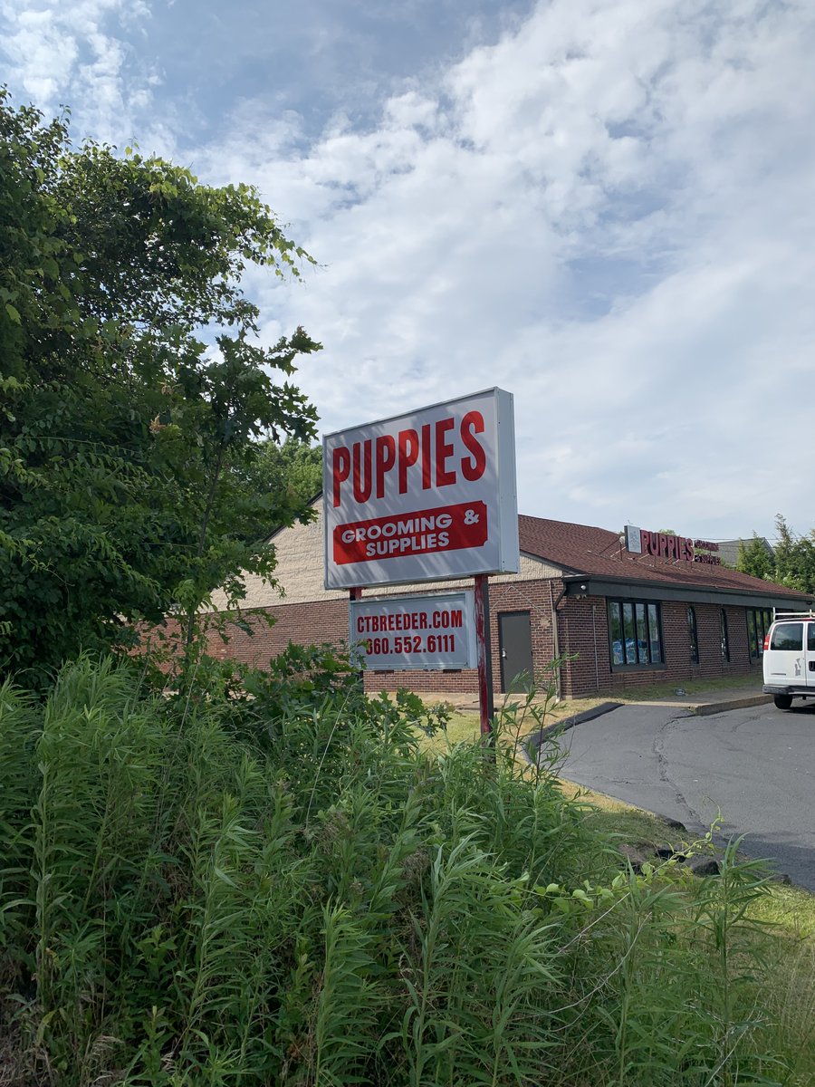 new pet store on the Berlin Tpke  #signs #newington #connecticut