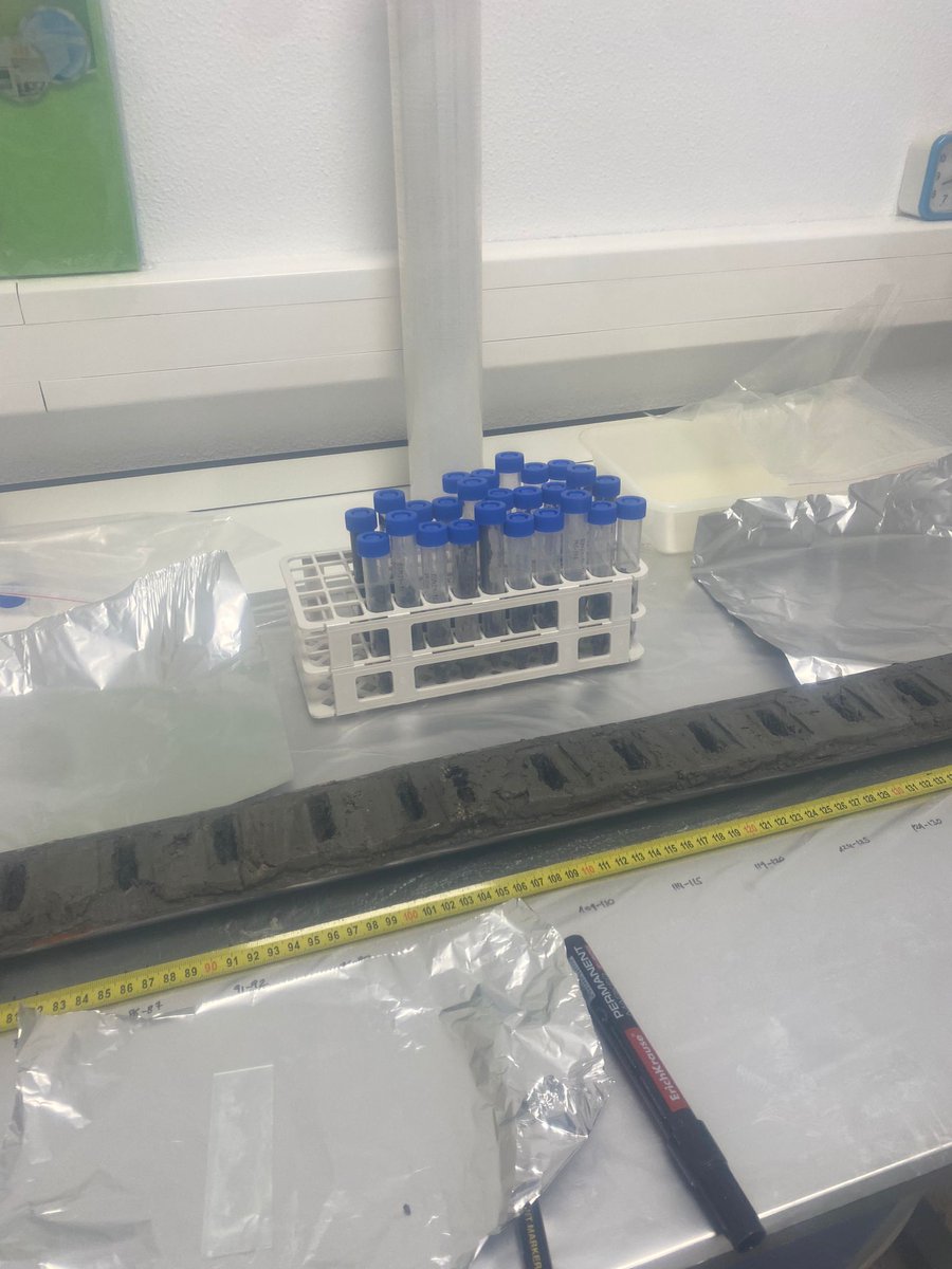 Instituto Pirenaico de Ecología (@ipe_csic) on Twitter photo Los sondeos que @paleoIPE extrajo del ibón de Plan han sido muestreados en @PaleoDNA_unizar para aislar DNA fósil y reconstruir con gran resolución la composición de organismos de #ecosistemas pasados, objetivo del proyecto #CORREDORAS liderado por <a href="/gilromera/">Graciela Gil-Romera | gilromera@bsky.social</a> y Penélope González Los sondeos que @paleoIPE extrajo del ibón de Plan han sido muestreados en @PaleoDNA_unizar para aislar DNA fósil y reconstruir con gran resolución la composición de organismos de #ecosistemas pasados, objetivo del proyecto #CORREDORAS liderado por <a href="/gilromera/">Graciela Gil-Romera | gilromera@bsky.social</a> y Penélope González