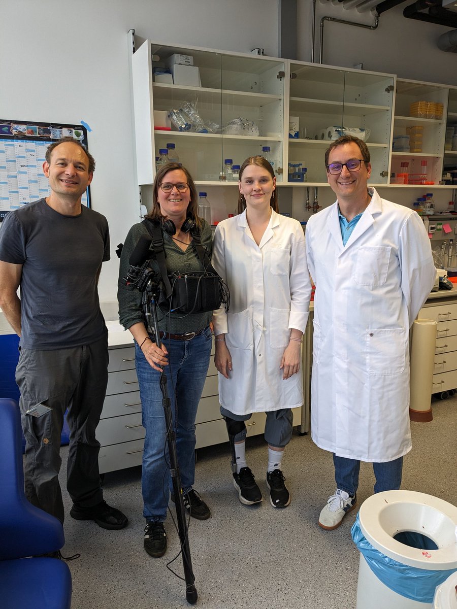 WilflingLab's tweet image. Last week the film crew of the FWU (Institute for Film and Image in Science and Education @FWU_Schule) came to lab to interview Pia and Florian. The FWU are making an educational movie on fasting and wanted to hear everything about our research on autophagy in yeast 🧫🎥