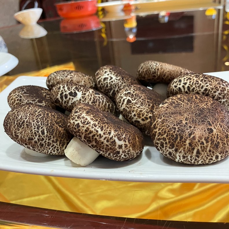 Shujun Ou tweet media