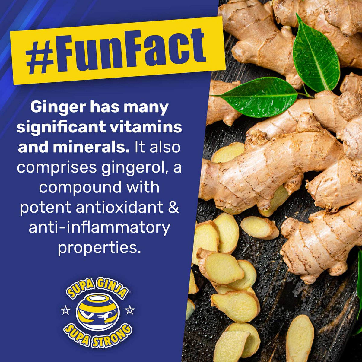 ginja_supa's tweet photo. 𝐅𝐮𝐧 𝐟𝐚𝐜𝐭 𝐚𝐛𝐨𝐮𝐭 𝐠𝐢𝐧𝐠𝐞𝐫! 🤔 Did you know that ginger has been used for centuries not only as a spice but also for its medicinal properties? 😉👌It's a soothing, humble root! 🤪 #FunFact #Ginger #HealthBenefits #SupaGinja #SupaStrong #StrongTraditions https://t.co/jyxN57MV0c