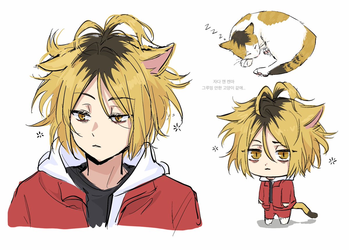 #하이큐 #HQ #ハイキュー   
켄마🐱