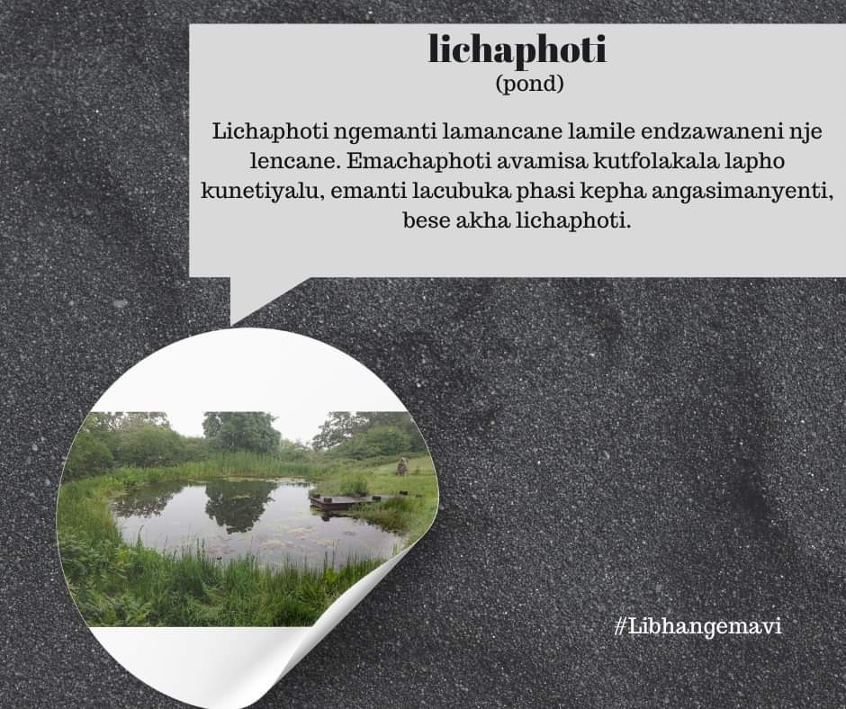 umhlangaswz's tweet photo. Emanti abaluleke kakhulu emhlabeni nakuto tonkhe tintfo letiphilako. Kungako kunemabito lamanyenti lahambisana nemanti nemitimba yemanti lapho kutfolakala khona netintfo letinyenti letimila khona.
1/
#Libhangemavi #Siswati #LulwimiLwetfu
#Eswatini #fundza #tinitwitter #TiniX https://t.co/kWuMJd4kZU