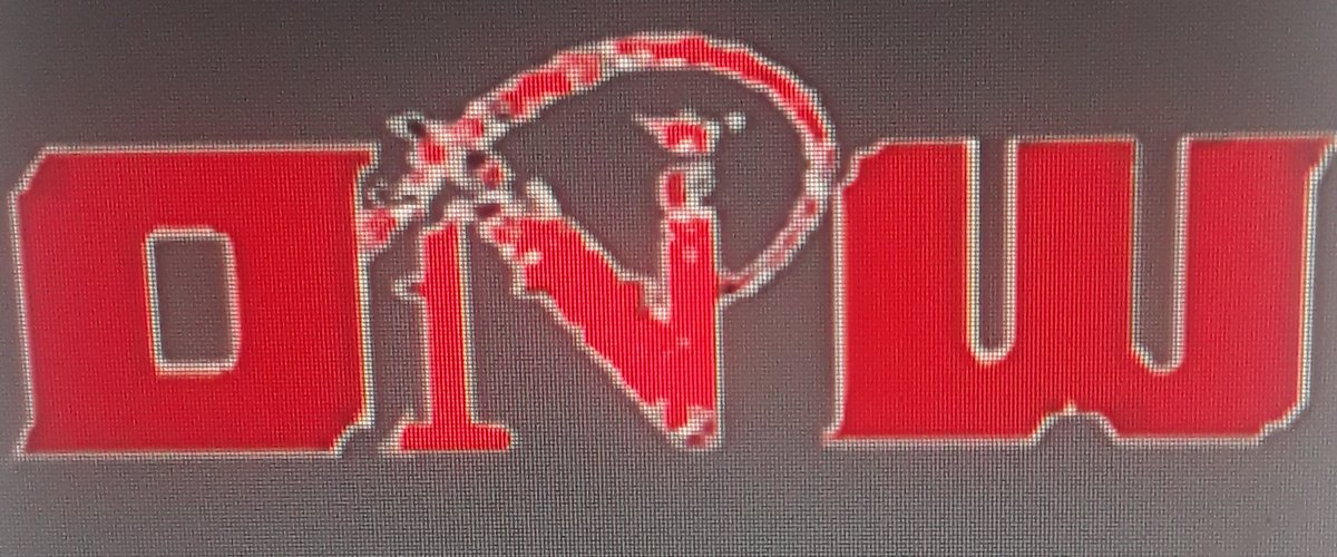 Good morning everyone, here in ONW we have currently opened up 4 open spots for 4 lucky stars to join for a kickass hardcore show. Whose hardcore? Whose gonna prove themselves to be what this company is all about? DM me to get these spots before they close.